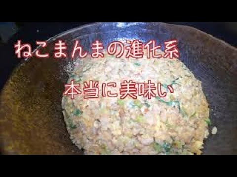 これが究極の焼き飯