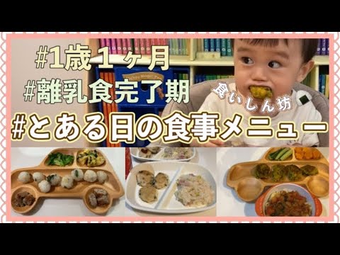 【1歳1ヶ月の1日の食事メニュー&食事風景】食いしん坊な男の子のとある日の朝昼晩ご飯🍚【離乳食後期〜完了期】