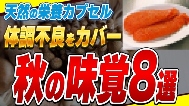 【秋の味覚】旬の食材を食べることでどんな効果が得られるのか？体もお財布も喜ぶ究極の食材8選【スーパーで買える食材】