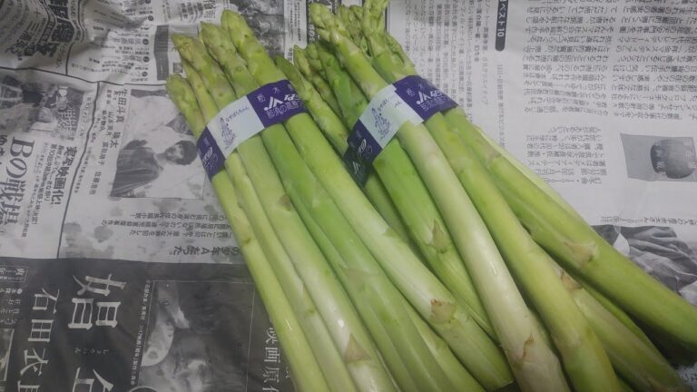 【ただ】アスパラの天ぷら【食べるだけ】