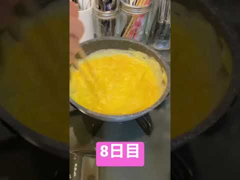 100日後に完璧なふわふわオムライスを作るお兄さん【8日目】#omelet #shorts