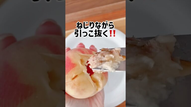 【結局どのやり方がいいの？】色んな人の桃のむき方全部試して唯一成功したのはこれ！#桃 #桃のむき方 #上半期ベストアイデア #桃レシピ #わたしのライフハック