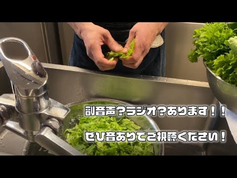【作業動画】仕込みシリーズ：サラダ　（副音声あり）