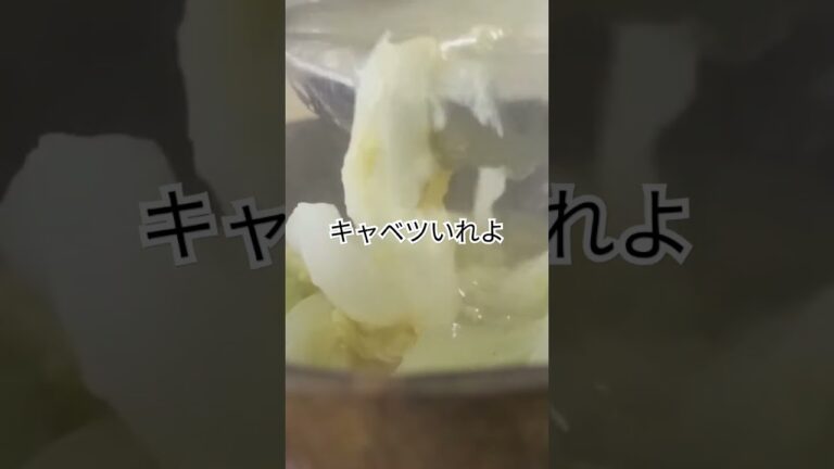 キャベツの味噌汁だよ