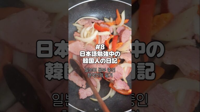 日本語勉強中の韓国人の日記#8