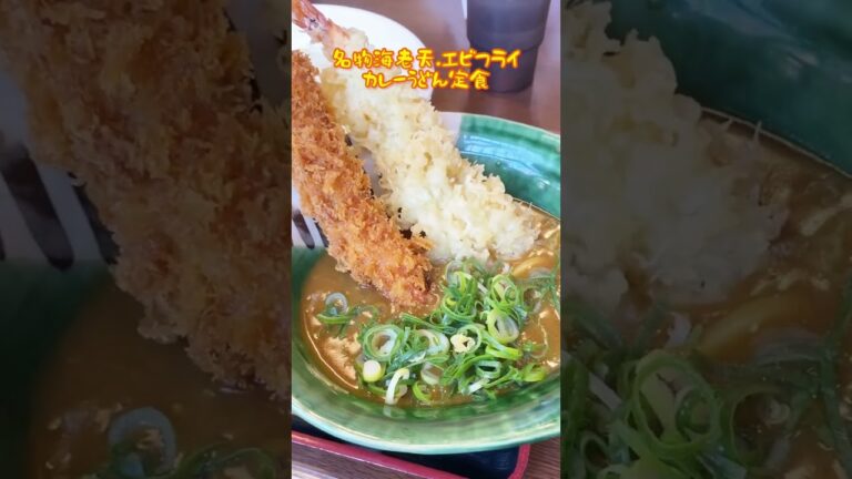みくりや名物！海老天エビフライカレーうどん&三元豚のカツ丼♪(滋賀県)DAY 214 #shorts