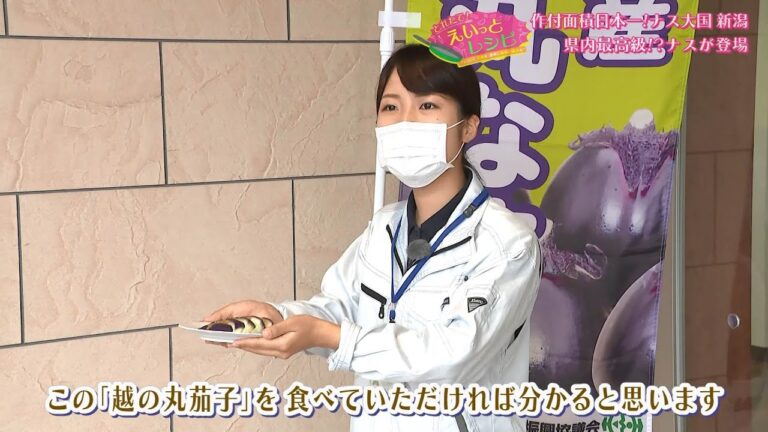 【公式】「東京の高級料亭でも使われる一流食材｢越の丸茄子｣で箸が止まらなくなる絶品丼」とれたて！えいっとレシピ “くらしに笑顔を、食卓に新潟の恵みを”#17＜スマイルスタジアムNST＞