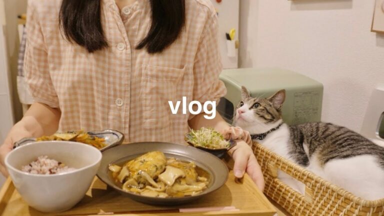 【vlog】夏の疲れケア🍉美容ごはんでインナードライケアする日常🎐新しい猫トイレと空気清浄機　#PetSnowy