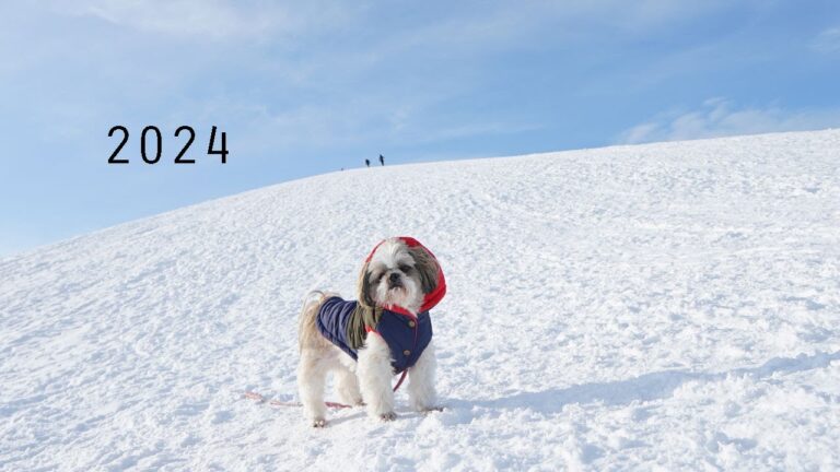 思い出 再編集　2024　さつまいも入りの蒸しパン