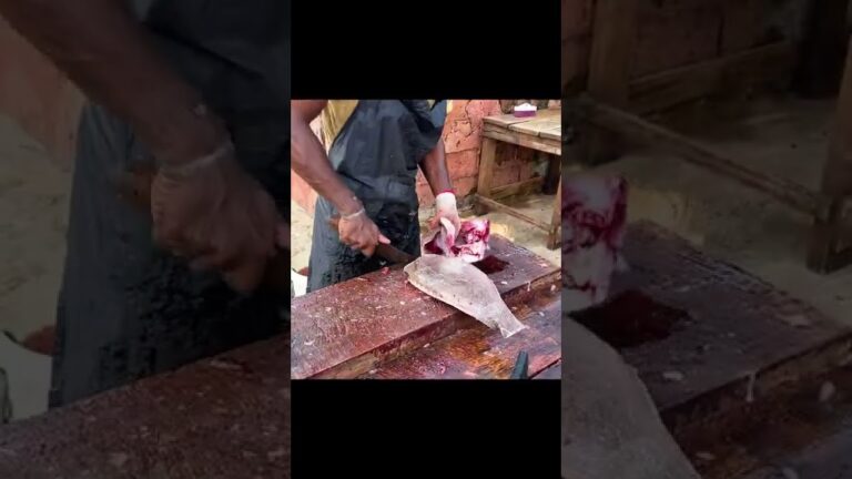 Mouth Watering Emperor Fish Cutting Skills