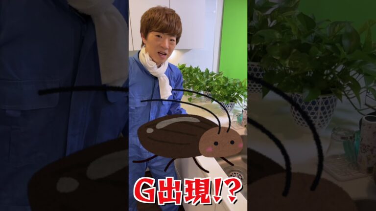 家にゴキブリが出現！？ #Shorts