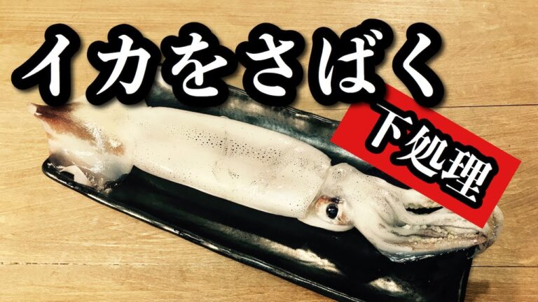 【プロ直伝】 【スルメイカのさばき方】と下処理のやり方　イカ料理基本編