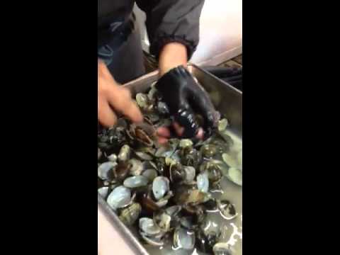 佃煮小松屋の手むきあさりとは？