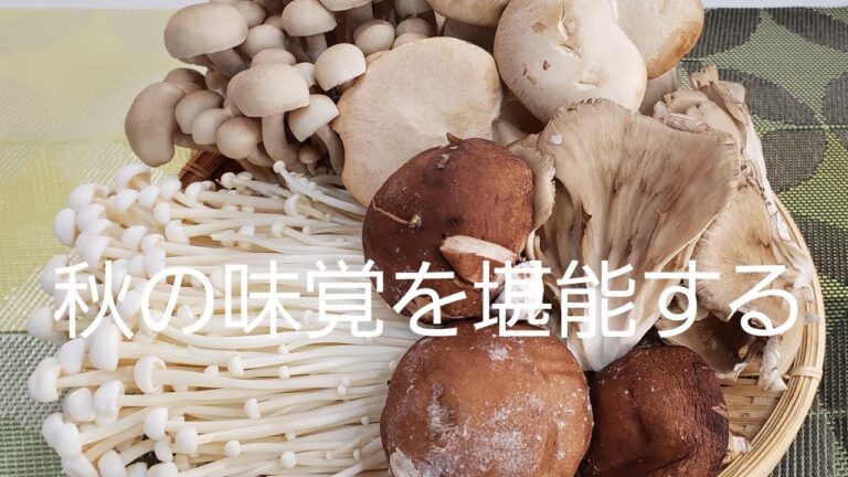 【秋の味覚】5種類のきのこを使ってビールや赤ワインに合う料理を楽しむ