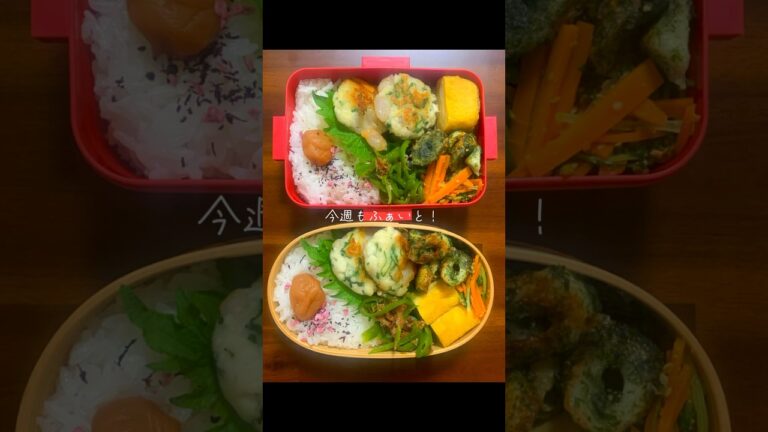 【エビとはんぺんのふわふわ焼き弁当】肉なしヘルシー！彼に作るお弁当#同棲ご飯 #手作りご飯 #お弁当作り #お弁当動画 #お弁当記録 #ヘルシー料理