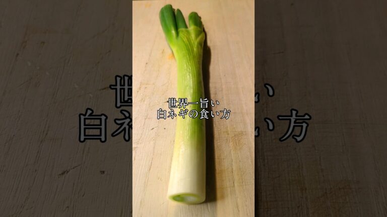 世界一旨い白ネギの食い方