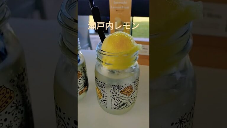 新鮮で甘酸っぱい〜【瀬戸内レモンのジュース】BenesseHouseMuseum