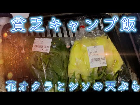 貧乏キャンプ飯 花オクラとシソの天ぷら