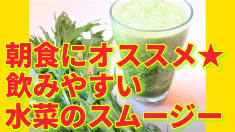 ★レシピ動画★朝食にオススメ☆簡単♪飲みやすい水菜のスムージー★【hirokoh(ひろこぉ)のおだいどこ】