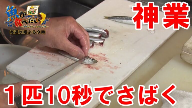 【神業】1匹約10秒でさばいたウルメイワシのお刺身がこちらです