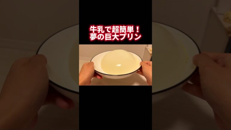 牛乳で超簡単！夢の巨大プリン！