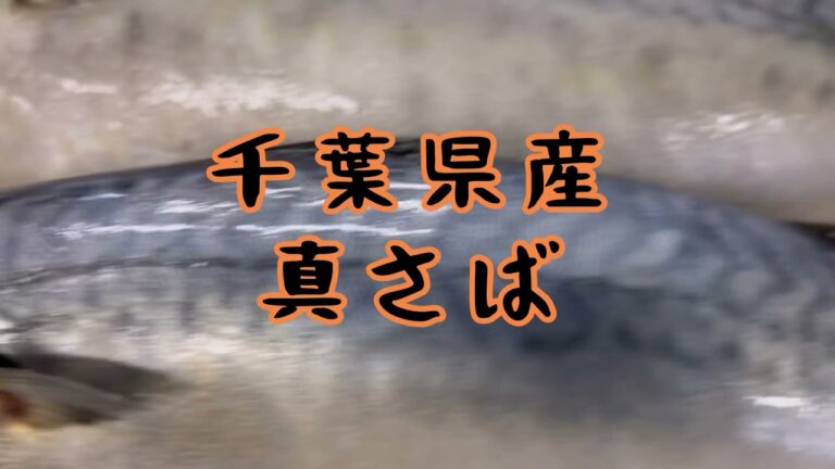 骨まで食べられる！『真さば煮付』
