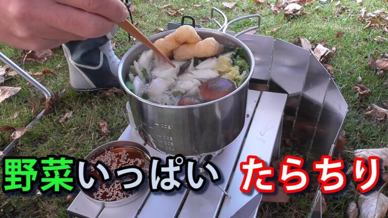 野菜いっぱい たらちり　ソロデイキャンプ