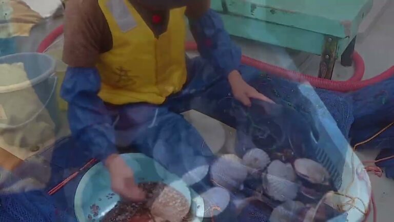 野辺地町「のへじ特産のぢまきホタテってどんなホタテ？」－第21回ふるさと自慢わがまちＣＭ大賞
