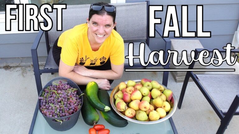 今シーズン最初の秋の収穫 | 庭で育つもの