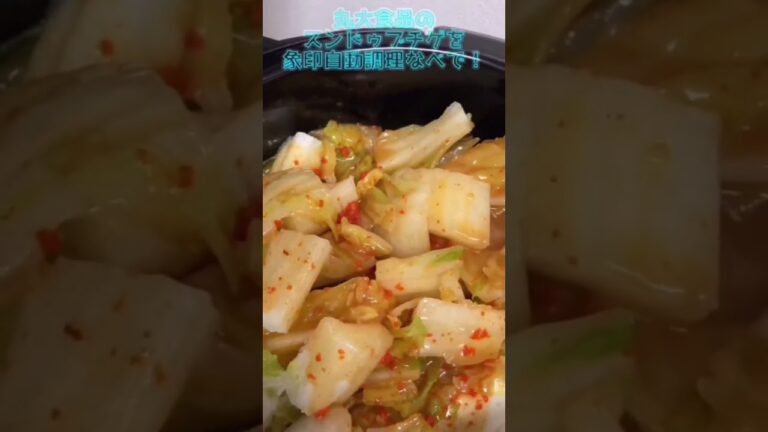 スンドゥブチゲ自動調理鍋で【食レポ】 #自動調理 #象印 #おかずレシピ #zojirushi #自動調理器 #stan #家電レビュー #自動調理鍋 #電気圧力鍋 #スンドゥブチゲ