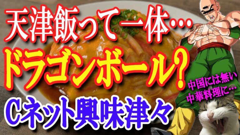 え？中国人が日本人から教えてもらった中華料理に中国ネットユーザーが…！もう本場中国と日本では全く別物に…【日出づる国TV】