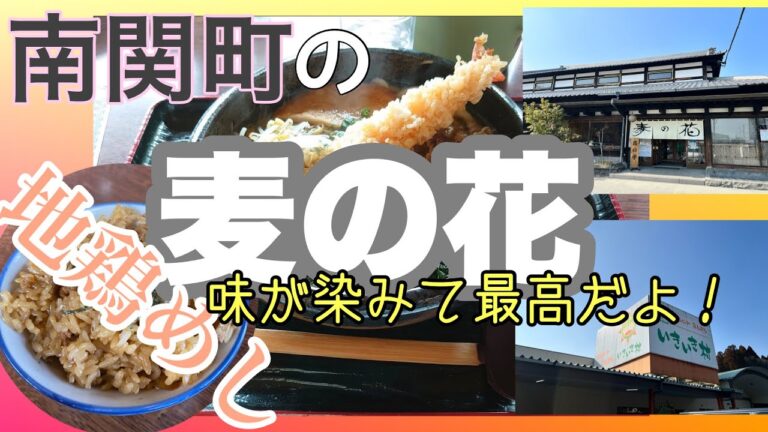 バリ旨うどんと地鶏めし！#グルメ #ランチ #熊本 #南関町#うどん #鶏飯 #コスパ最高 @taka4chan_ch