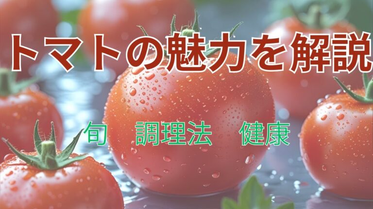 【赤い栄養カプセル】トマトの魅力を徹底解説｜選び方・旬・保存・栄養・健康効果