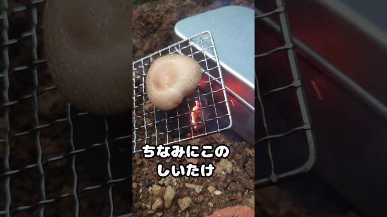 茶碗蒸し　作り方