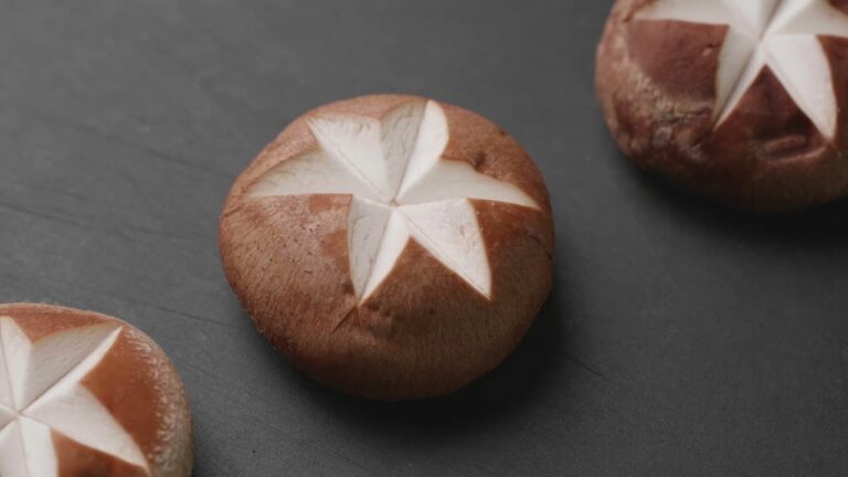 生しいたけの飾り切り ｜ 基本のき