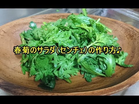 「春菊レシピ」サラダ（センチェ）の作り方　Shandarecipe
