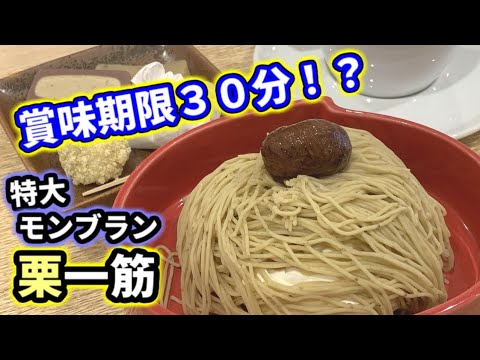【秋限定】賞味期限３０分！？特大モンブラン栗一筋【栗きんとんの恵那川上屋】