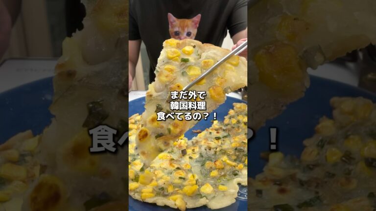 とうもろこしとちりめんじゃこのチヂミ✨ ＃PR＃Kboard #雨の日はチヂミ#チヂミレシピ  #とうもろこし#ちりめんじゃこ  #簡単レシピ#韓国料理レシピ  #おうちごはん#韓国グルメ#韓国旅行