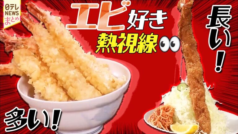 【エビフライ＆エビ天】35cm超！かぶりつくジャンボエビフライ/ボリューム＆お手頃 行列のできる天丼専門店