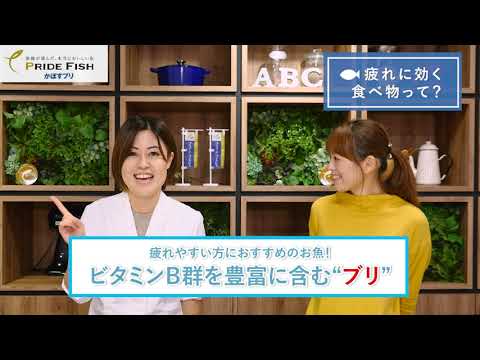 先生教えて！魚の栄養素～ブリ編～