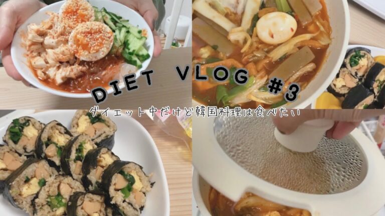 DIET VLOG#3 ダイエット中だけど韓国料理は食べたい | こんにゃくトッポギ | オートミール海苔巻き | しらたきビビン麺など4種類のレシピ紹介