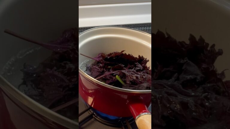 赤紫蘇を茹でてジュース作り