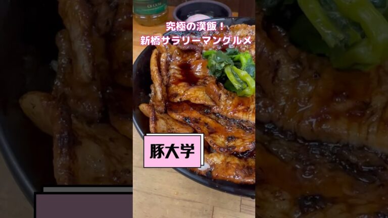 最強漢飯！【豚大学】#shorts #shimbashi #porkrecipe #pork #豚バラ #豚肉 #丼 #丼飯 #丼ぶり #デカ盛り #大盛り #爆食 #tokyofood #新橋