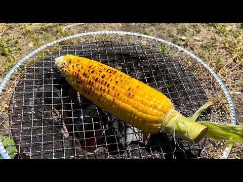 七輪でトウモロコシを炭火焼きしたらうますぎた