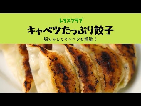 「キャベツたっぷり餃子」塩もみしてキャベツを増量！