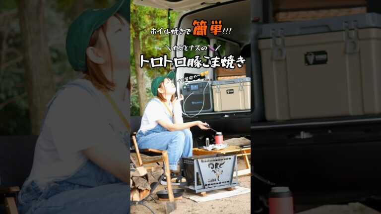 これぞナス革命やぁぁ🤤🍆🍖#shorts #キャンプ #キャンプ飯 #キャンプギア #キャンプ道具