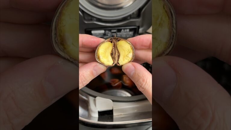 炊飯器で簡単！【栗の茹で方】