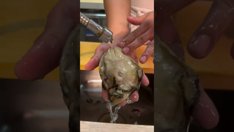 高級天然魚にこだわるお店の岩牡蠣✨　上物天然海鮮カツオ　#food #名古屋グルメ #海鮮 #shorts