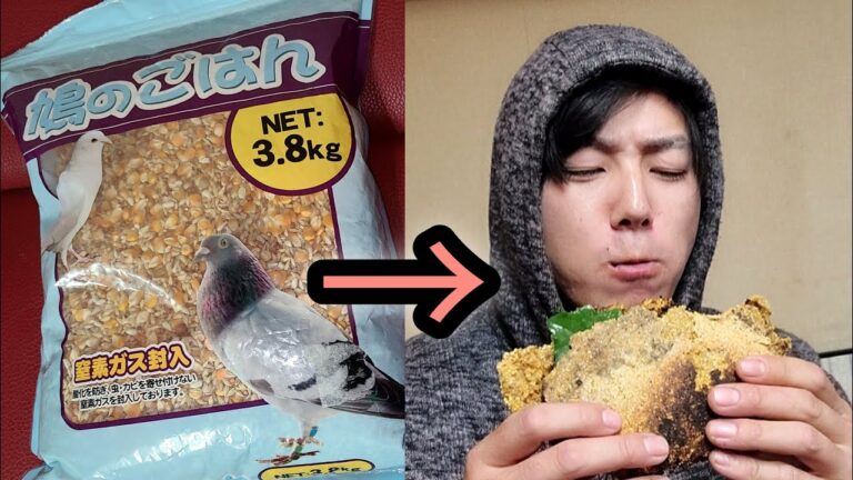 【0円レシピ】ハトの餌からタコスを作る方法