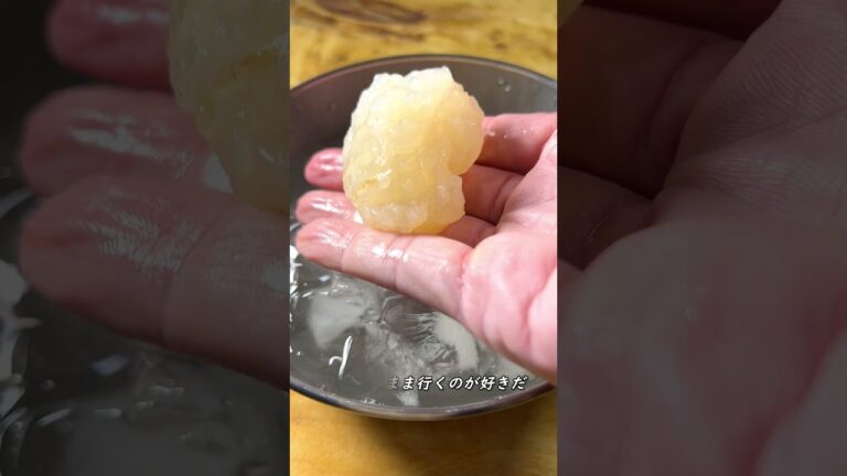 海老の王様！ウチワエビ #shorts #shrimp